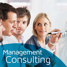 Management Consulting