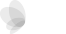 JFL Peace