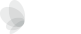 JFL Fondation